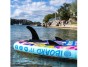 paddleboard iBOARD 11' - 11 WHALE